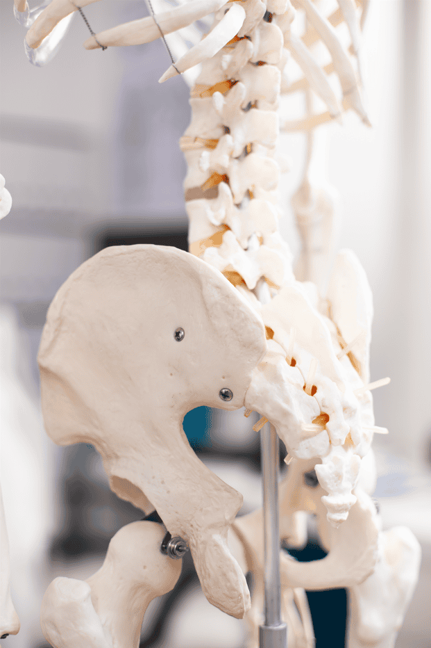 DENVILLEMEDICALNEUROSPINESURGERY
